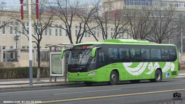 800BUS