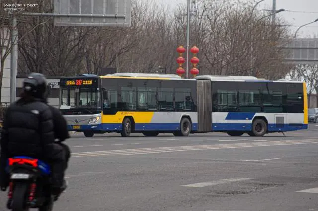 800BUS