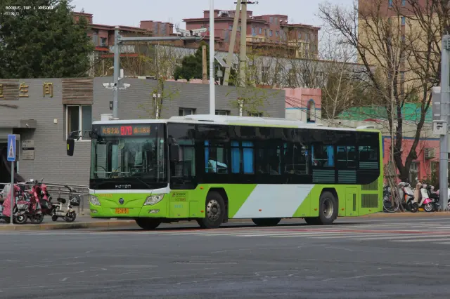 800BUS