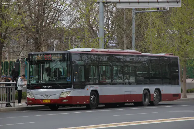 800BUS