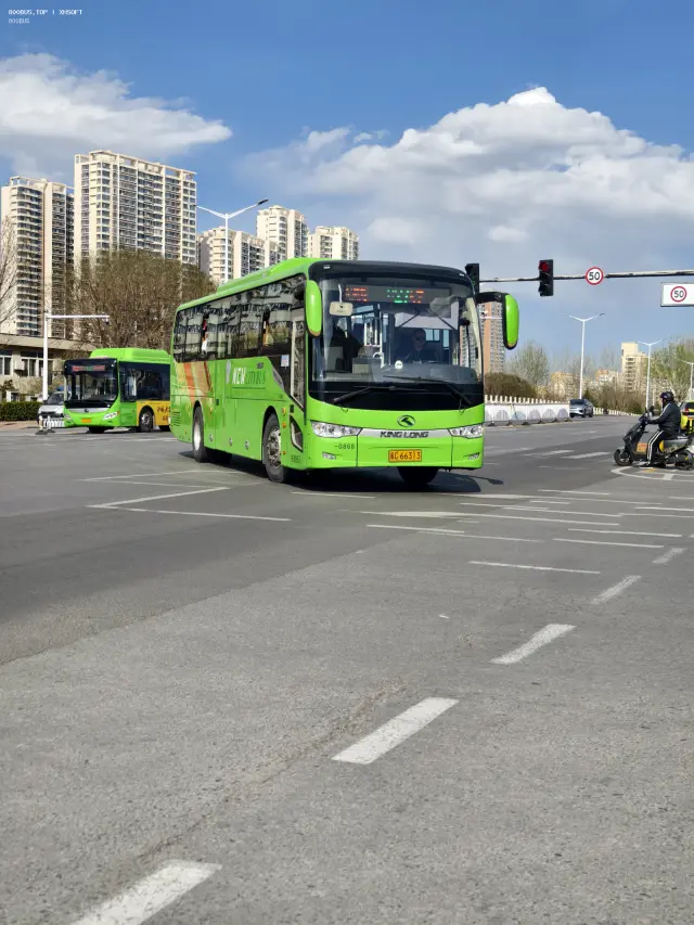 冀C·66313