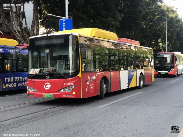 800BUS