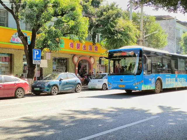 800BUS