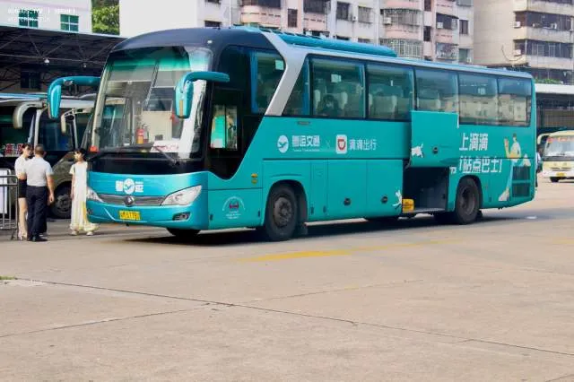 800BUS