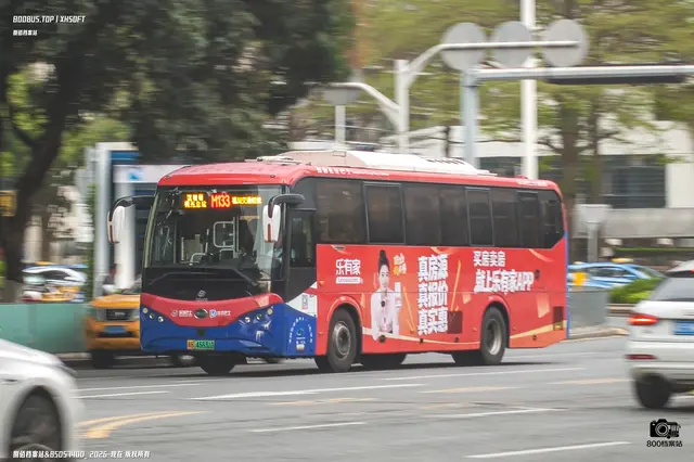 800BUS