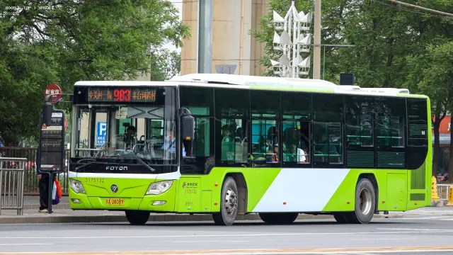 800BUS