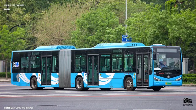 800BUS