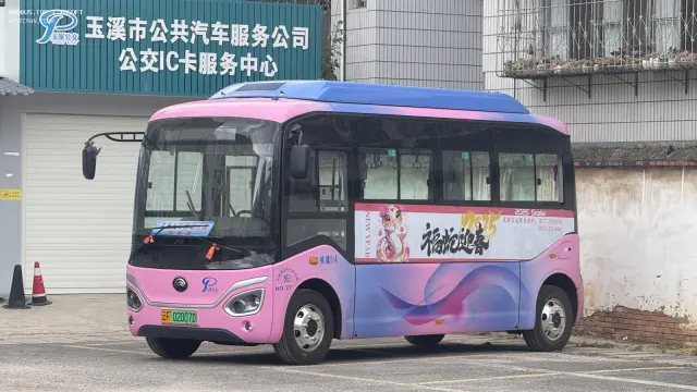 800BUS