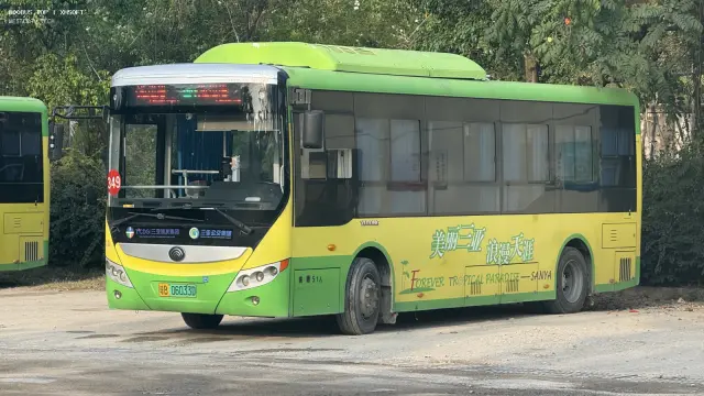 800BUS
