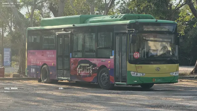 800BUS