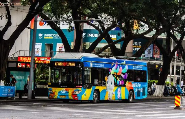 800BUS
