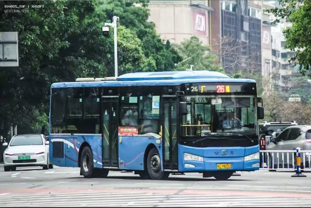 800BUS