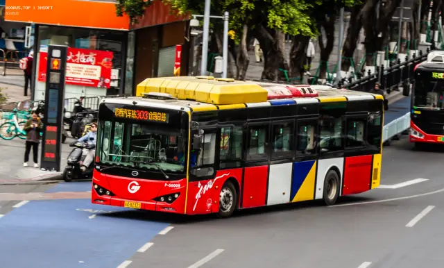 800BUS
