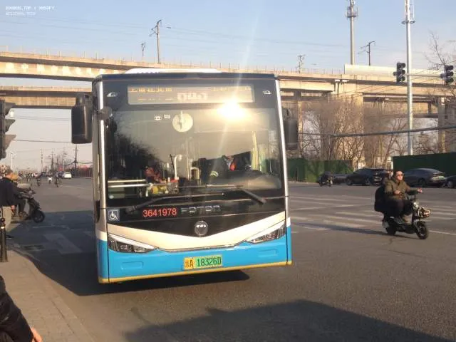 800BUS