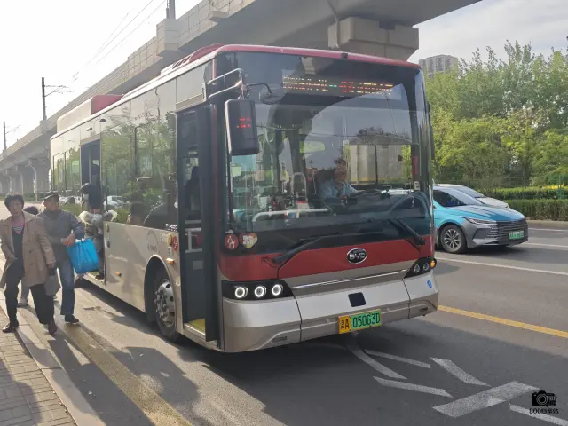 800BUS