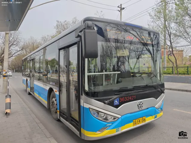 800BUS