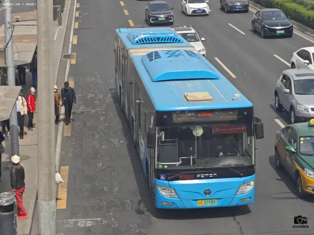 800BUS