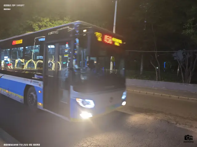 800BUS
