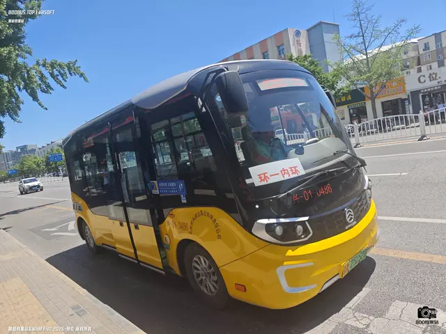 800BUS