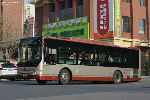 800BUS