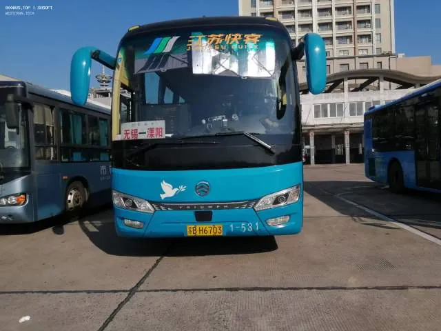 800BUS