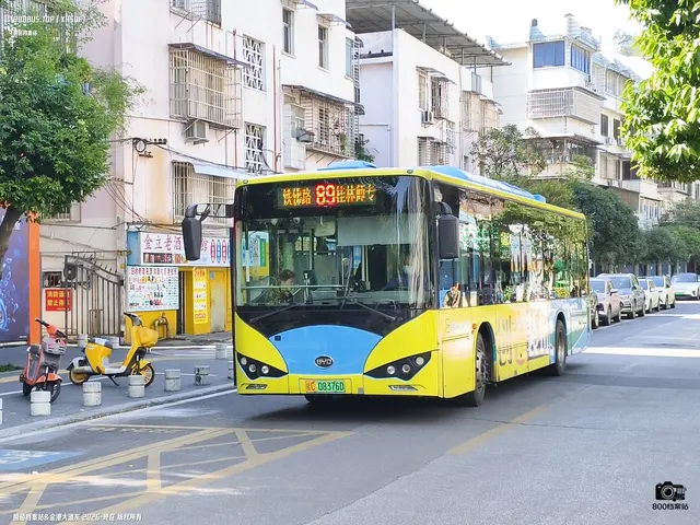 桂C 08376D