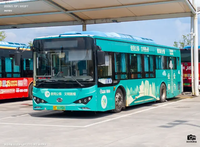 800BUS