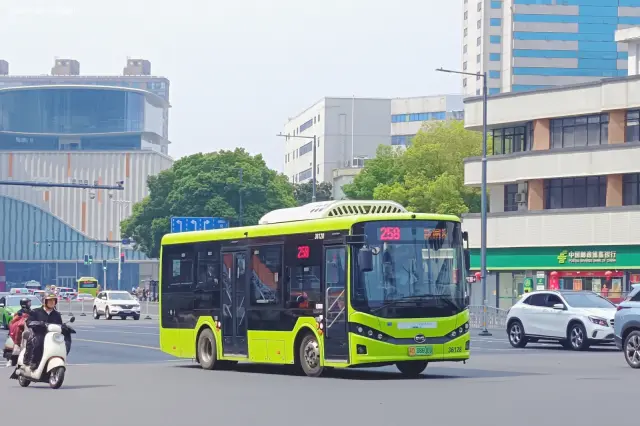 800BUS