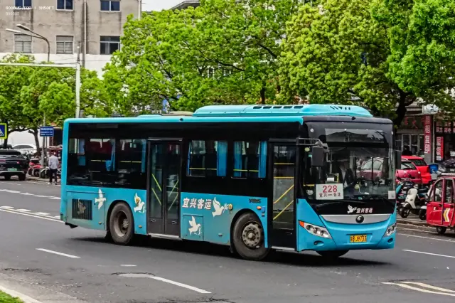 800BUS