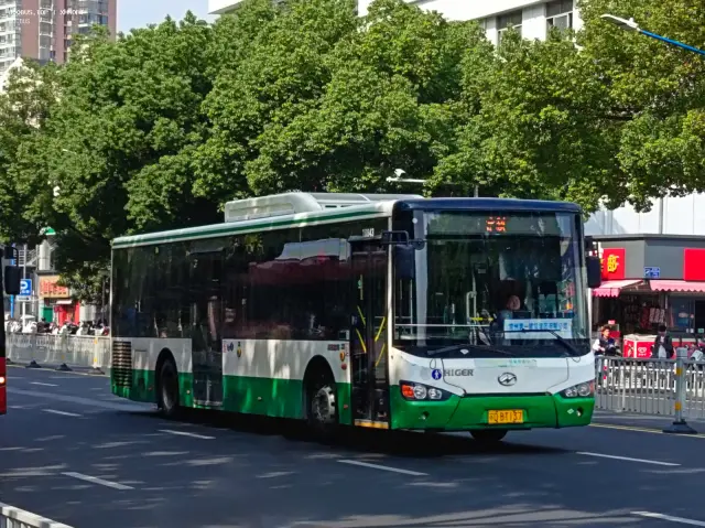 苏D·BT137（18843）