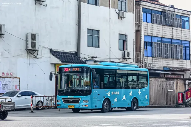 800BUS