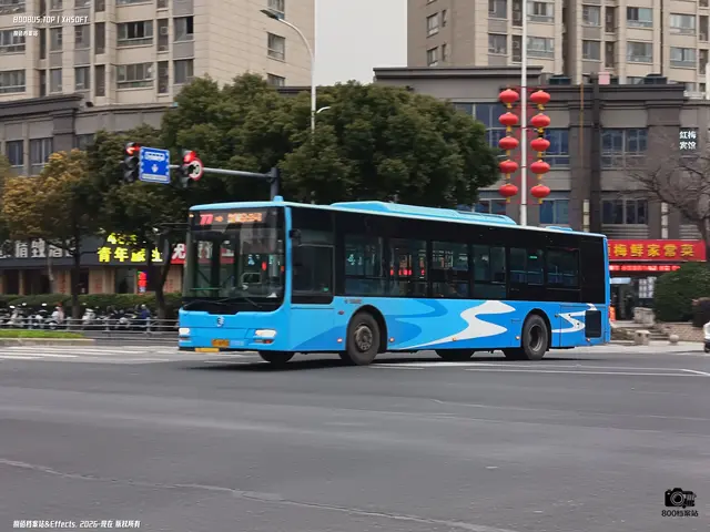 800BUS