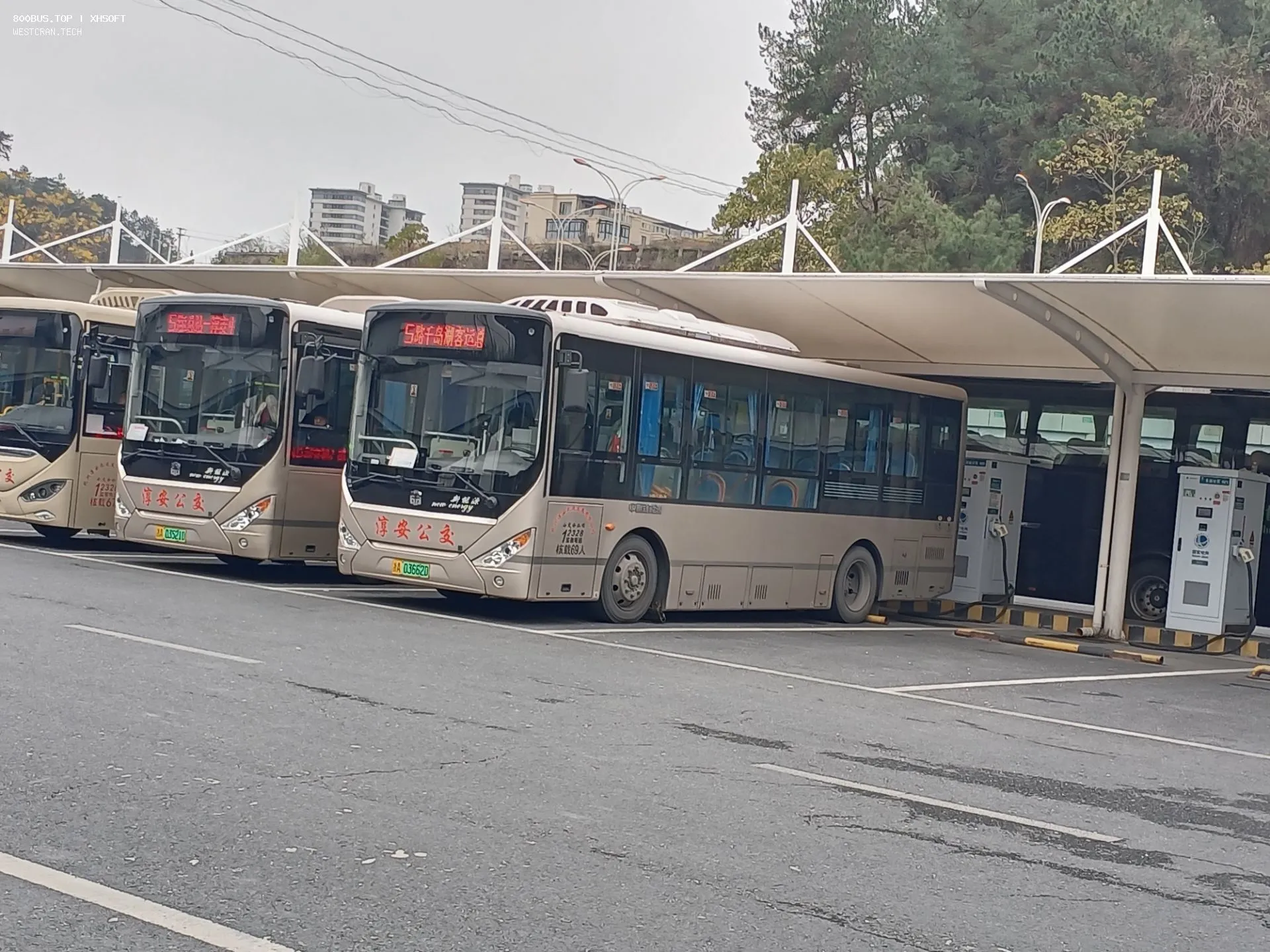 Bus Archive