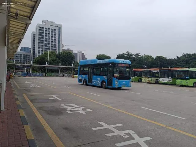 800BUS