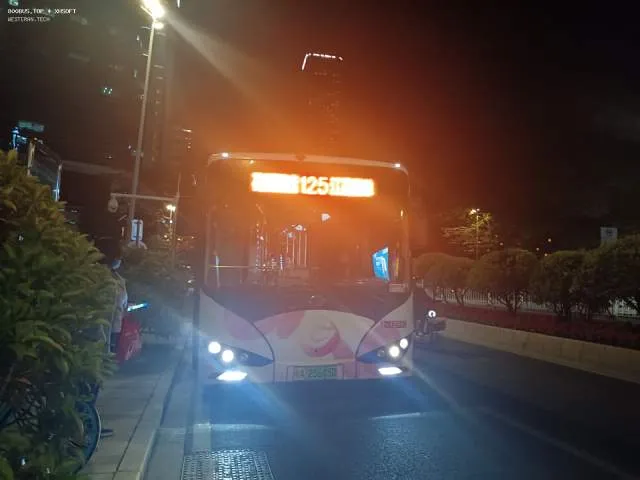800BUS