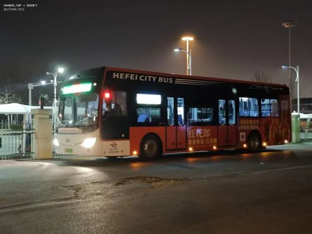 800BUS