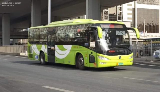800BUS