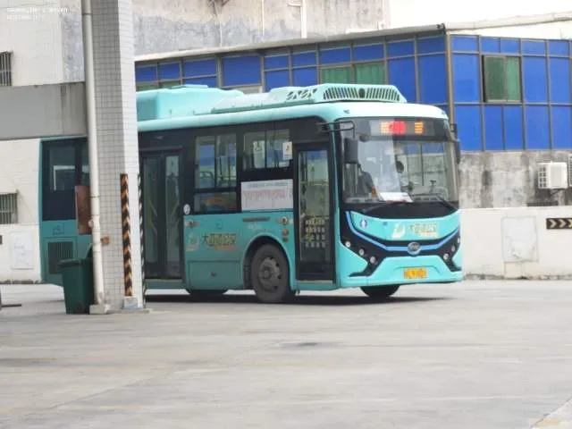 800BUS