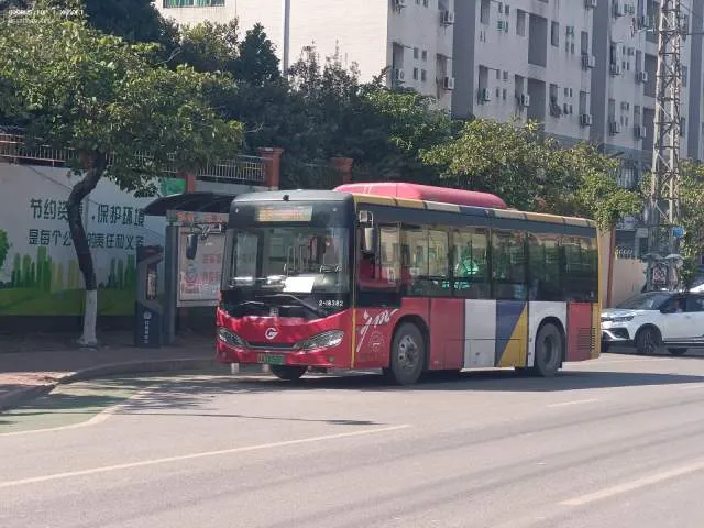 800BUS