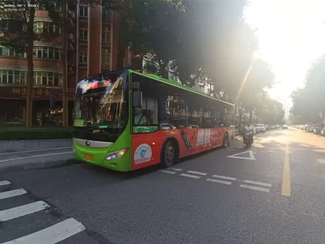 800BUS