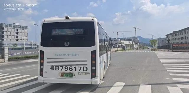 800BUS