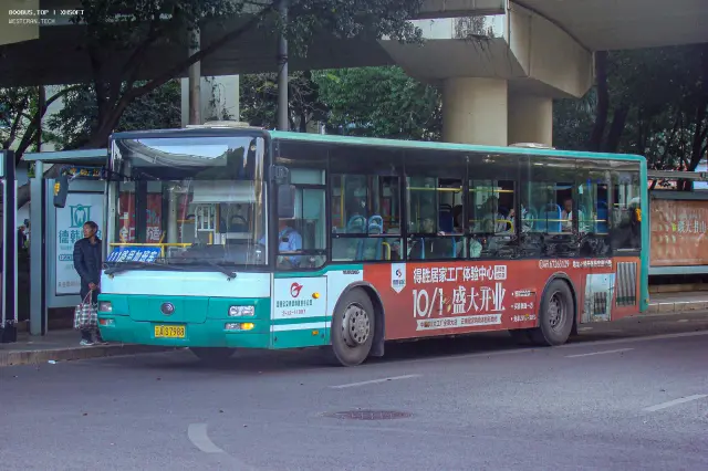 800BUS