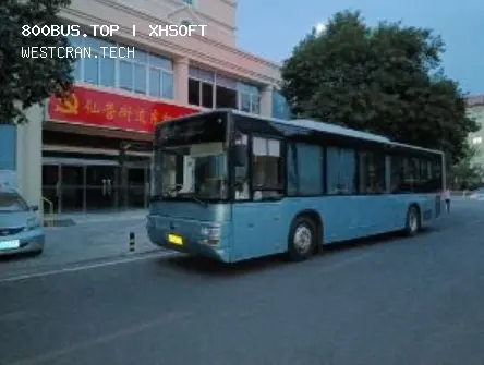 800BUS