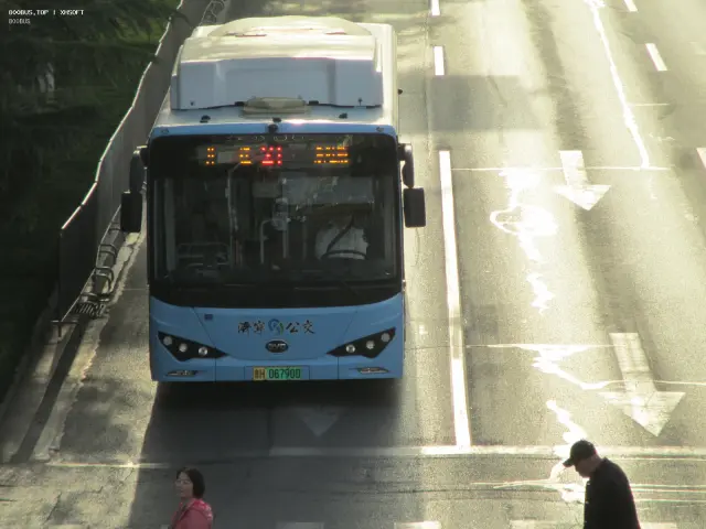 800BUS