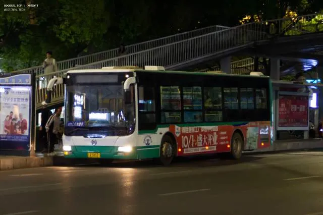 800BUS