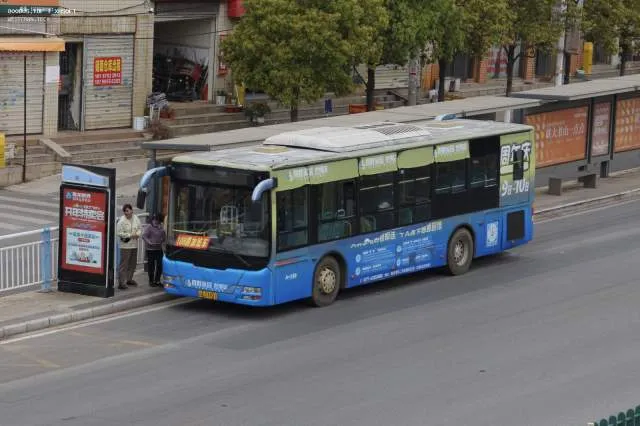 800BUS