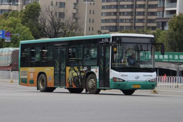 800BUS