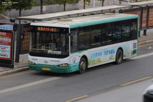800BUS