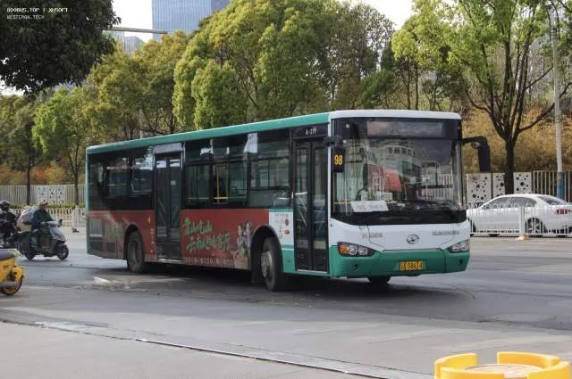 800BUS