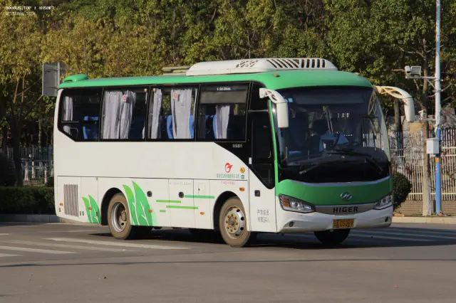 800BUS